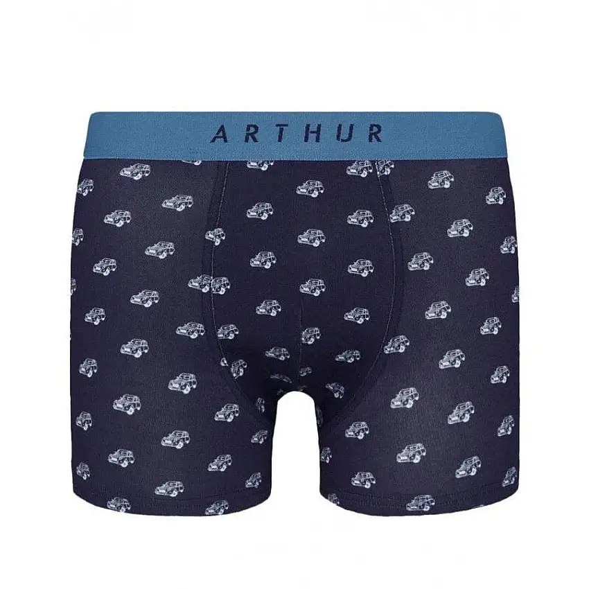 Boxer Arthur Mac 2CV