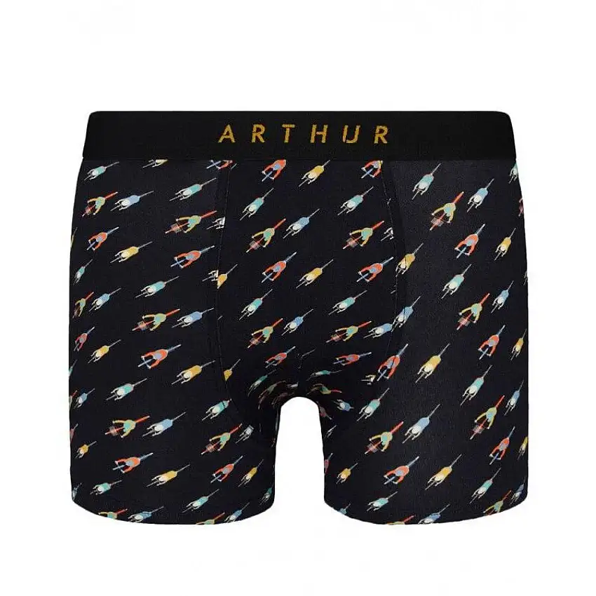 Boxer Arthur Mac Cycl